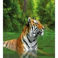 thumbnail image 3 of Ambesonne Tiger Duvet Cover Sets, Siberian Wild Cat in Lake, 2-Queen, Fern Green Pale Brown, 3 of 7