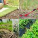 thumbnail image 3 of Estacas de jardín Carpa de fijación Estacas para el suelo Grapas de jardinería para fijar lona Acolchado Valla Barrera Contador Red Camping Césped artificial, 20 piezas, Verde, 15 cm, 3 of 5