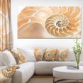 thumbnail image 1 of Brown Nautilus Shell Pattern - Brown, 1 of 3