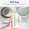 thumbnail image 3 of THE CLEAN PEOPLE Liquid Dish Soap - Clean, Simple Ingredients - Extra Scrubbing Power (Lemon Verbena Scent) 12 fl. oz (3 Pack), 3 of 6