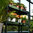 thumbnail image 2 of Palram - Canopia Two Tier Staging Work Bench - Green, 2 of 5