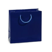 Royal Gloss Jewel Gift Bags (100 Pack ) 6-1/2x3-1/2x6-1/2"