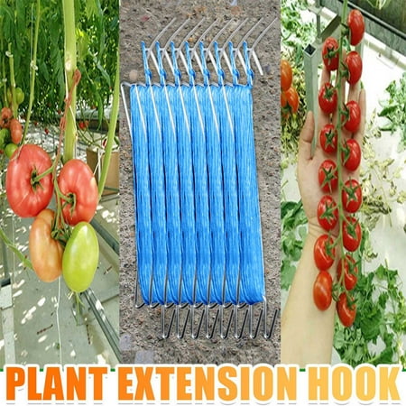 

Wall Hooks Tomato Hook Tomato Support Clips Vegetable Support Prevent Tomatoe From Pinching Hooks For Hanging