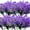 Purple, variant on Morttic 12 Bundles Artificial Flowers, Fall Spring Summer Decoration UV Resistant Faux Outdoor Plastic Greenery Shrubs Plants Fake Flowers Planter Home Garden Decor (Fuchsia Camellia)
