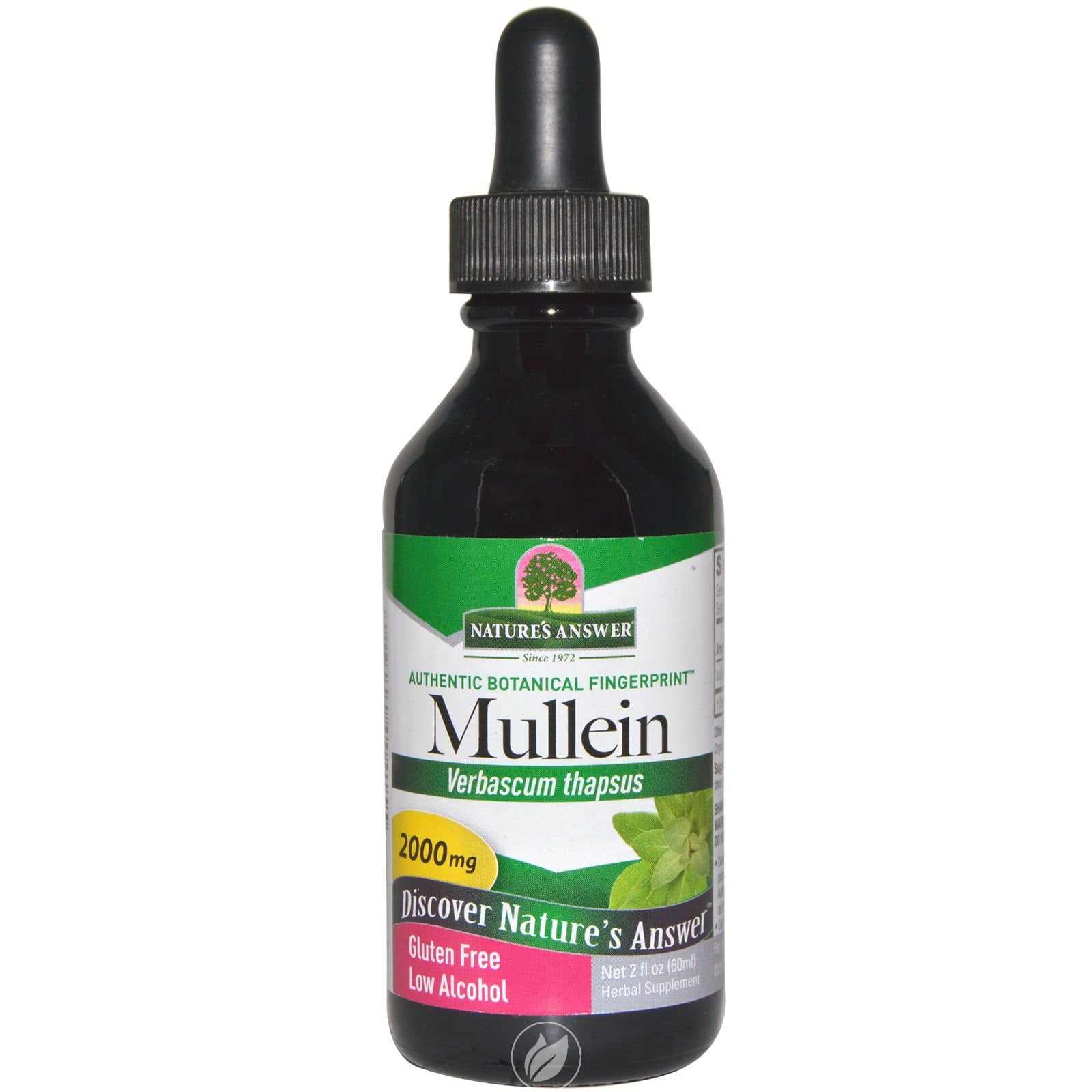 Mullein Leaf Extract 2 FL Oz by Nature's Answer, Pack of 2 Walmart