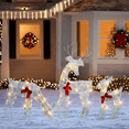 thumbnail image 3 of Set of 3 Lighted Christmas 2D Reindeers Outdoor Decorations, Pre-Lit Light Up Xmas Rudolph & Santa Sleigh with Lights, 3 of 5