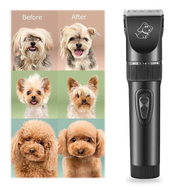 large dog clippers