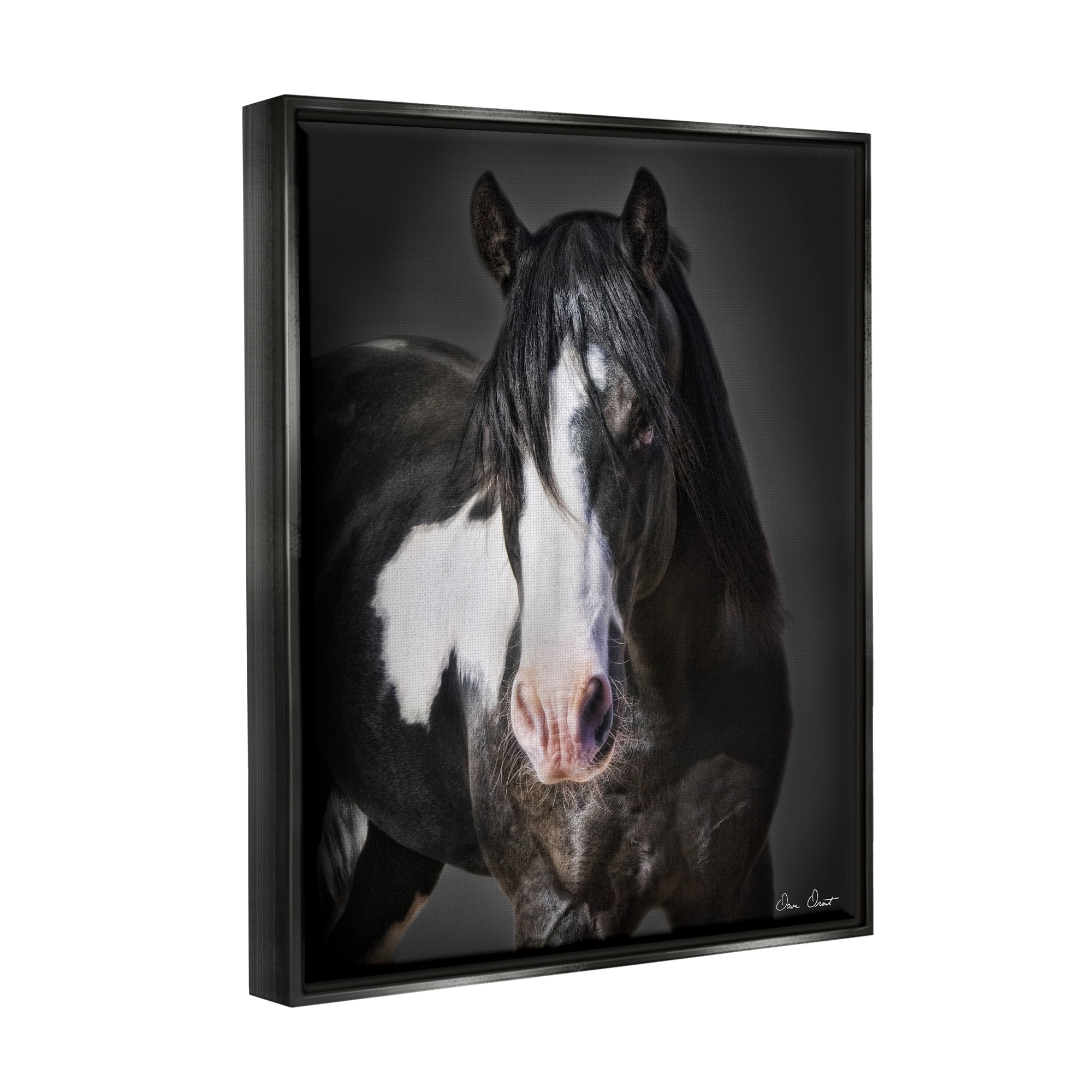 Stupell Industries Black & White Horse Animals & Insects Photography Black Floater Framed Canvas Art Print Wall Art, 25 x 31