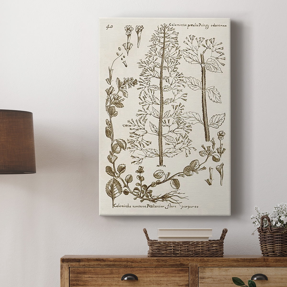 Sepia Botanical Journal V Premium Gallery Wrapped Canvas - Ready to Hang