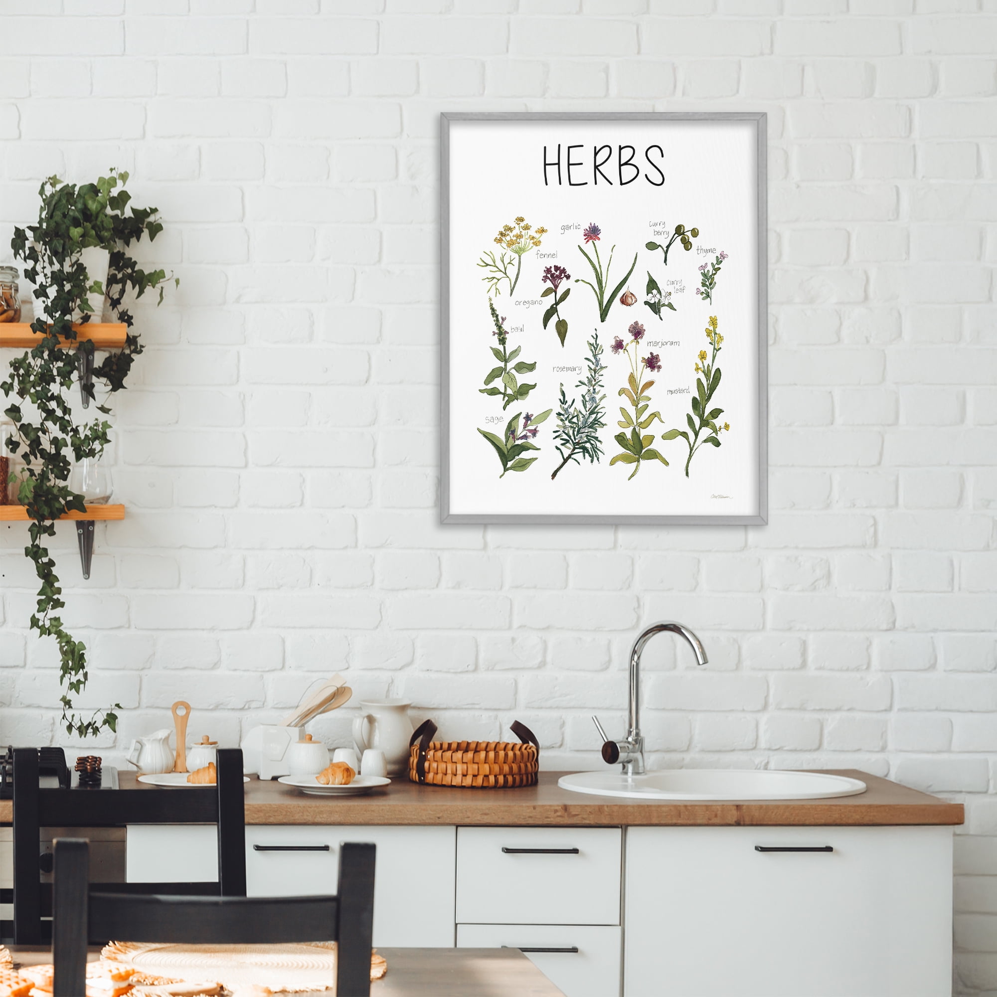 Stupell Industries Herbs Identification Chart Gray Framed Giclee Art, design by Carol Robinson