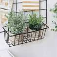 thumbnail image 3 of 8PCS Shelf for Design Metal Wall Grille, Shelf Design Grid Photo Wall Used for Photo Wall Wire Basket, 3 of 5