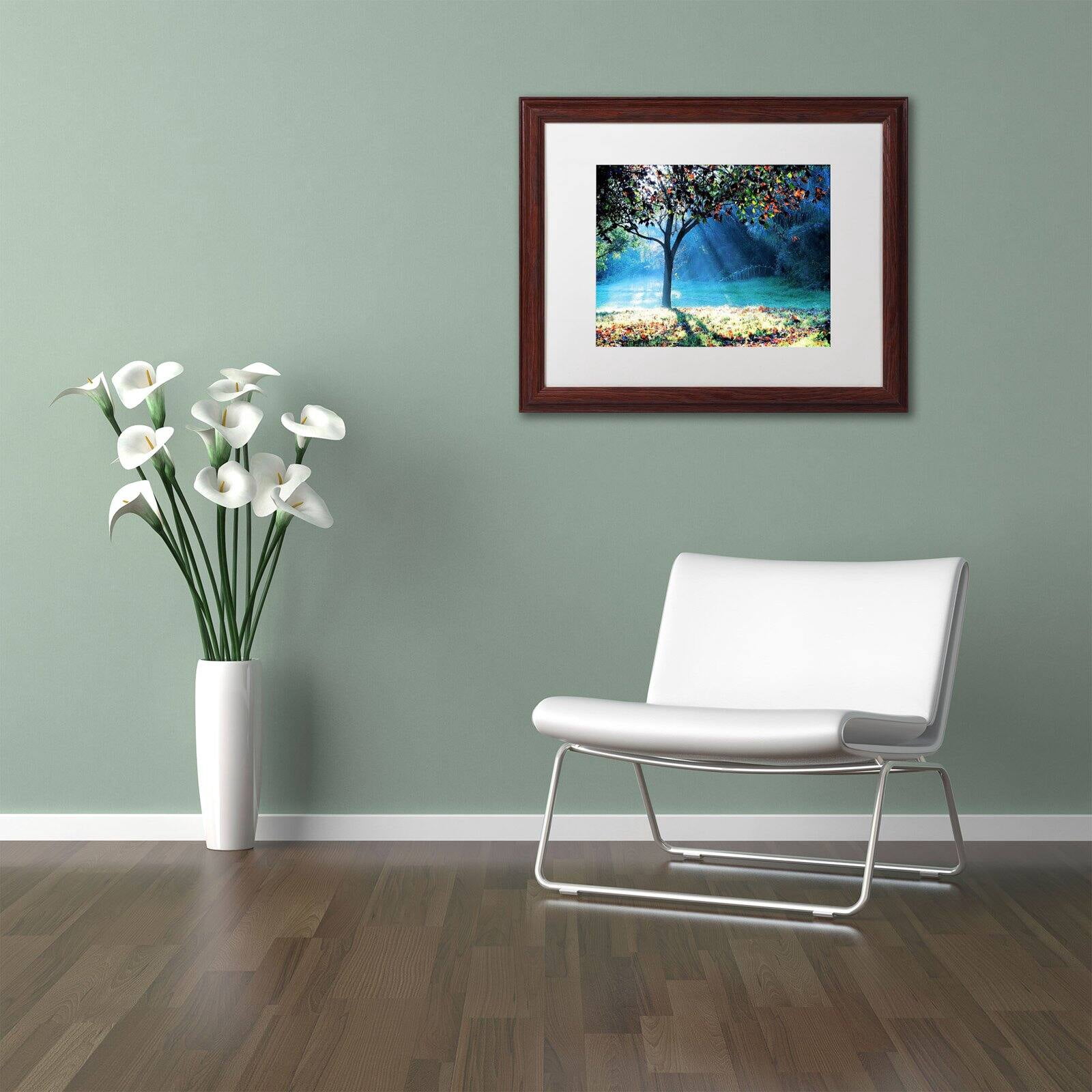 Trademark Fine Art "Rays of Hope" Canvas Art by Beata Czyzowska Young, Black Matte, Black Frame