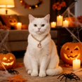 thumbnail image 6 of Halloween Pet Charm Necklace Collar, Cute HalloweenâElement Pendant Decorative Gold Chain Necklace, Pet Accessory for Cats & Small Dogs Halloween Party Dressâup, 6 of 6