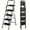 4 Steps-Black, variant on WoofPaw 3 Step Folding Ladder with Tool Tray - Carbon Steel, Space-Saving Design, Non-Slip PVC Feet & PP Platform, Ideal for Home/Office/Outdoor Use,Black