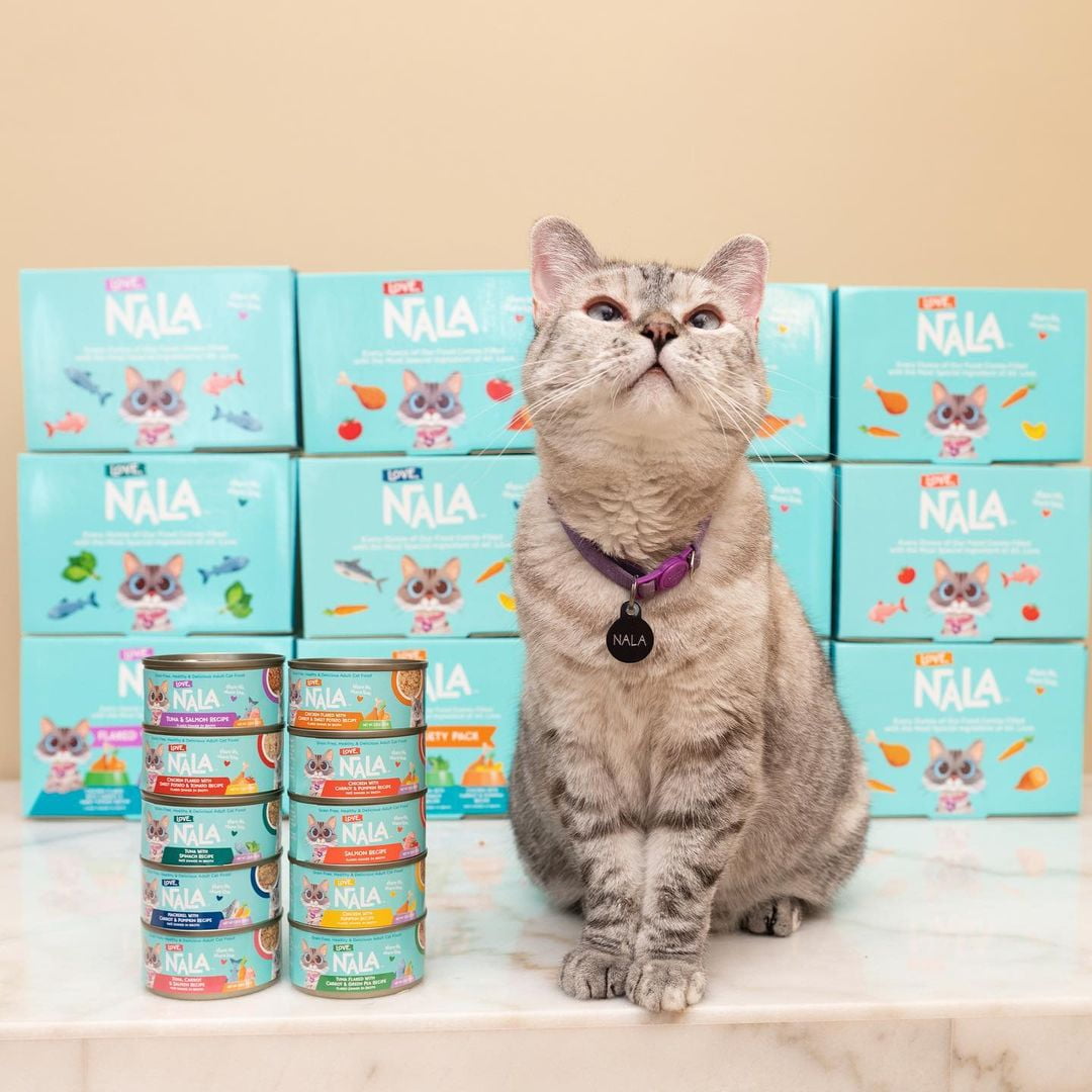 (24 pack) Love, Nala Chicken Flaked with Sweet Potato & Carrot Recipe in Broth Adult Wet Cat Food