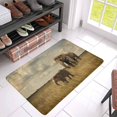 thumbnail image 2 of MKHERT Mother and Baby Elephants in Vintage Style Doormat Rug Home Decor Floor Mat Bath Mat 30x18 inch, 2 of 3