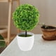thumbnail image 4 of USHOBE 2Ud Bola De Plantas Artificiales En Plástico Para De Escritorio Multiusos, 4 of 6