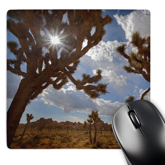 3dRose, USA, California, Joshua Tree NP, Queen Valley, Joshua Trees, MousePad