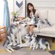 thumbnail image 5 of Juguete de peluche de perro Husky de alta calidad, perro lobo de simulación lindo, perro mascota, muñeca calmante, almohada suave, juguete para niños, regalo de cumpleaños y Navidad, nuevo, 5 of 5