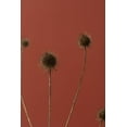 thumbnail image 2 of 1x Studio III 17x24 White Modern Wood Framed Museum Art Print Titled - Thistle Rust Red 02, 2 of 4