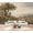 Color 3, variant on Wallpaper Tropical Forest Vibrant Foliage Serene River Woodland Peel and Stick Wall Murals 100"H x 144"W Removable PVC Wall Paper Self-Adhesive Wall Paintings Art Decor for Bedroom Living Room