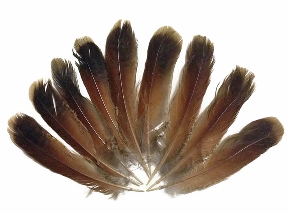 10 Pieces Natural Red and Black Partridge Wing Feathers