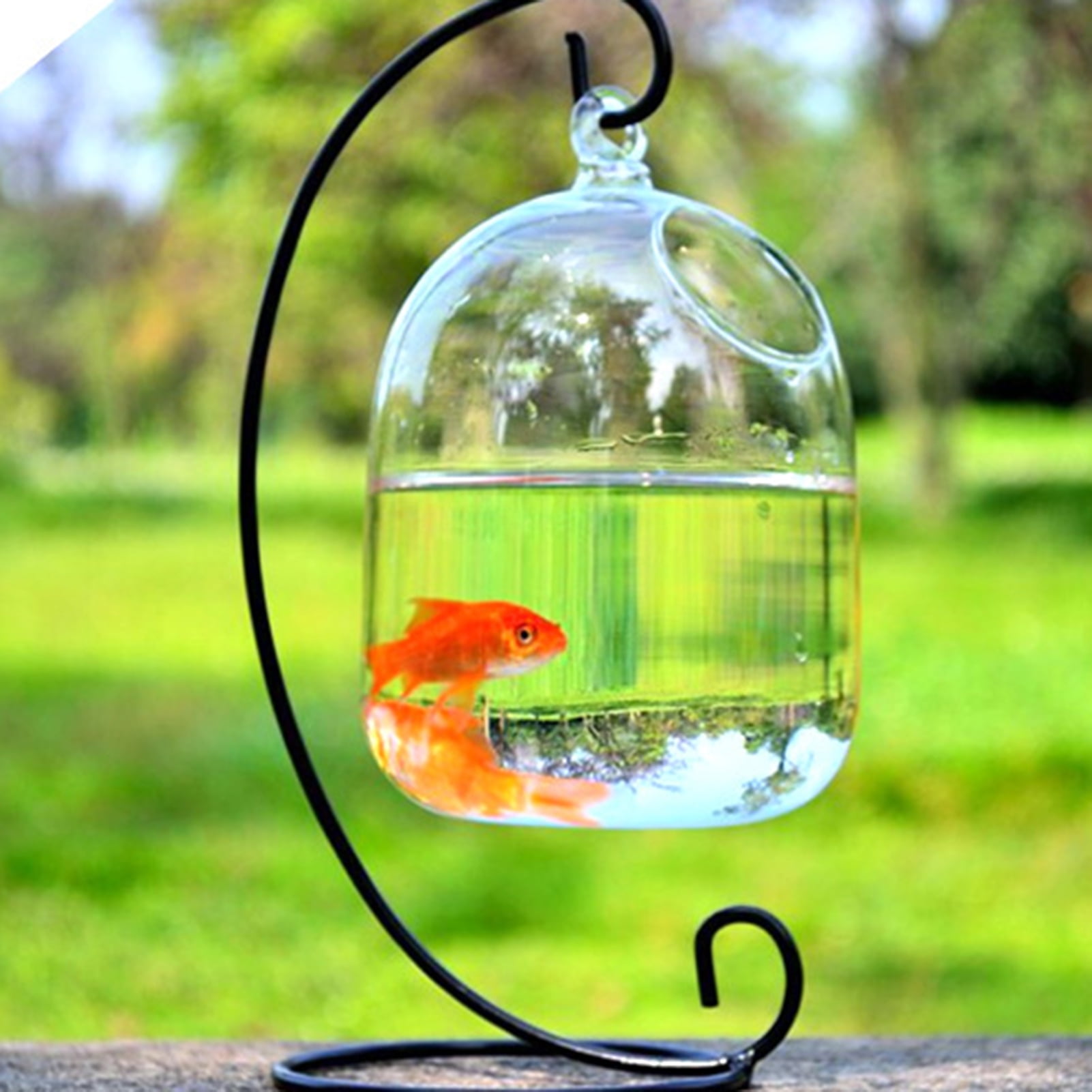 CALANDIS Flat Mouth Clear Mini Desktop Glass Fish Tank Aquarium Bowl  Decoration 1 : Amazon.in: Pet Supplies