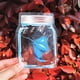 thumbnail image 4 of Película para ventanas Suncatcher, película para ventanas, película decorativa para ventanas, bloquea la luz solar, película esmerilada, fácil aplicación, material de PVC transparente, para, 4 of 9