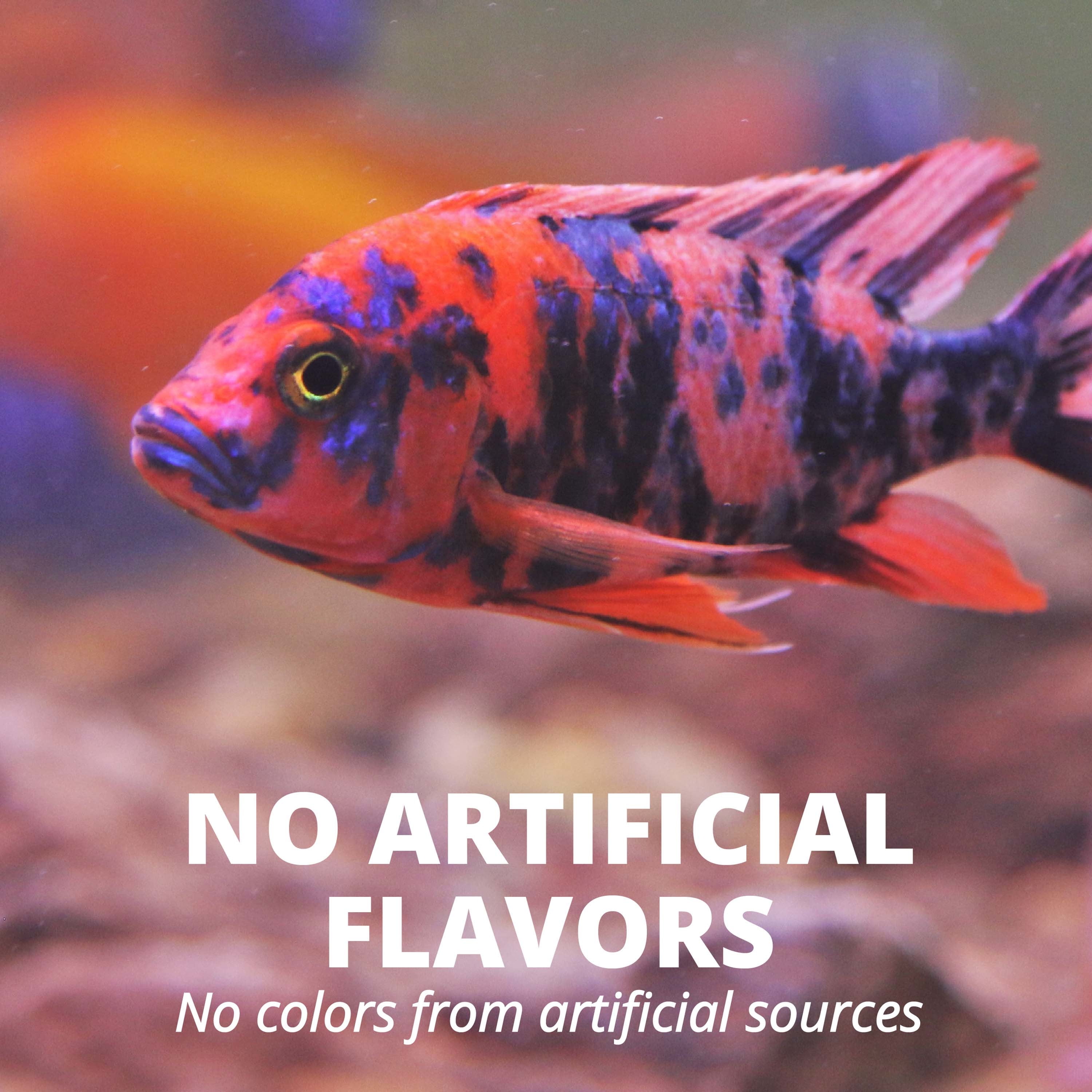 Tetra TetraCichlid Floating Cichlid Sticks Fish Food, Nutritionally Balanced Diet, 5.65 oz.