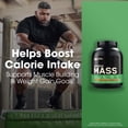 thumbnail image 2 of Proteína en polvo para ganar peso Optimum Nutrition Serious Mass, 2 of 7