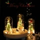 thumbnail image 2 of Adornos De Cubierta De Vidrio Led [Yue Xinghui] Propiedad Intelectual Procesada ZH Regalo Creativo De Navidad Decoración De Ventana De Cedro Luz LED Adornos De Cubierta De Vidrio ANGGREK Otros, 2 of 8