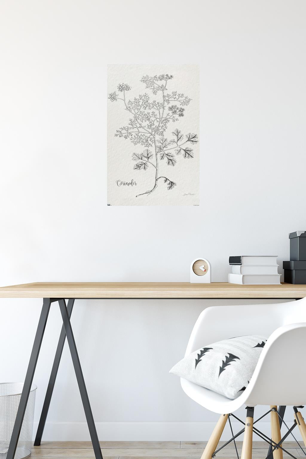 Jean Plout - Botanical Studies on Paper Coriander Wall Poster, 14.725" x 22.375"
