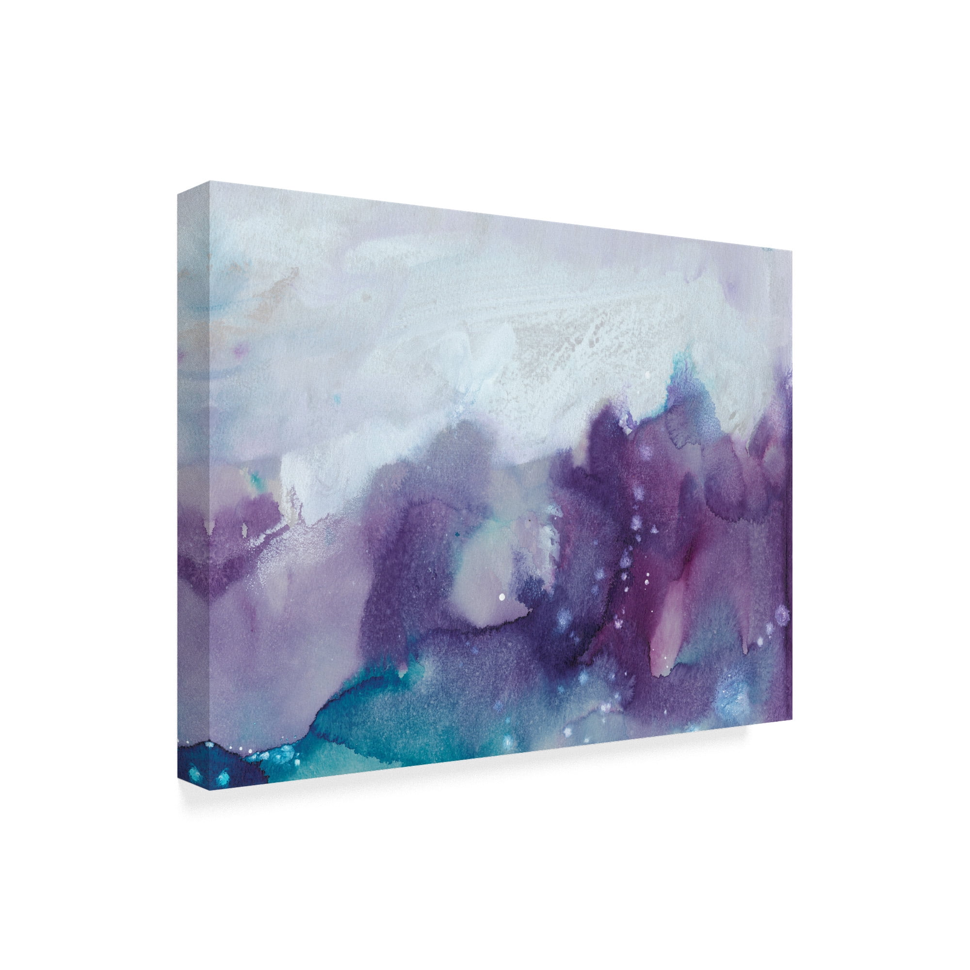 Trademark Fine Art 'Ice Crystals IV' Canvas Art by Joyce Combs
