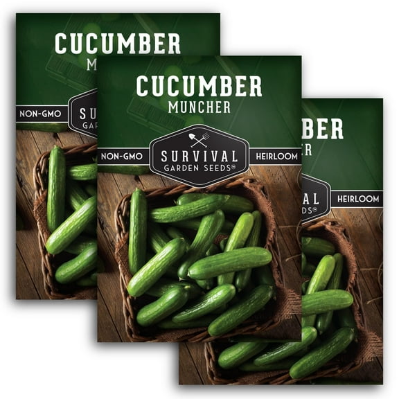Muncher Cucumber Seeds - Non-GMO Heirloom Full Sun Annual Vegetable - 3 Packs