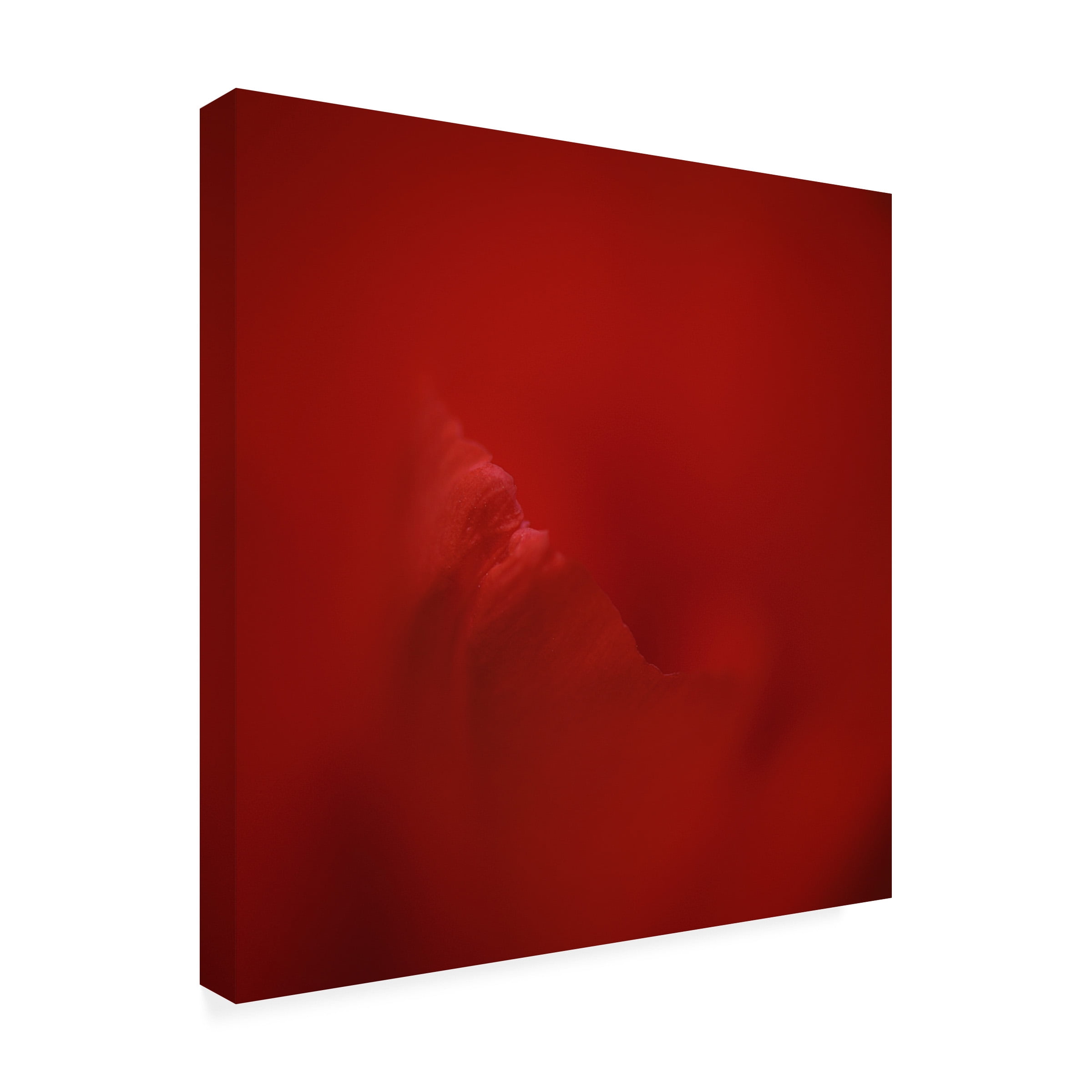 Lotte Gronkjar 'All Red' Canvas Art