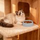 thumbnail image 4 of RKSTN Cat Bowls Round Plastic Pet Bowl, Plastic Pet Eating Bowl, Easy to Clean Cat Dog Eating Bowl Gray, 4 of 6