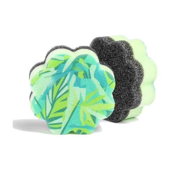 Bright Box Scrub Wipe Ergo Dish Sponges, Non-Scratch Kitchen Sponges, Green Palm, 2 Count
