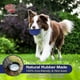 thumbnail image 3 of Indestructible Dog Toy, Rubber Squeaky Dog Toy, Sturdy Dog Toothbrush, 3 of 3