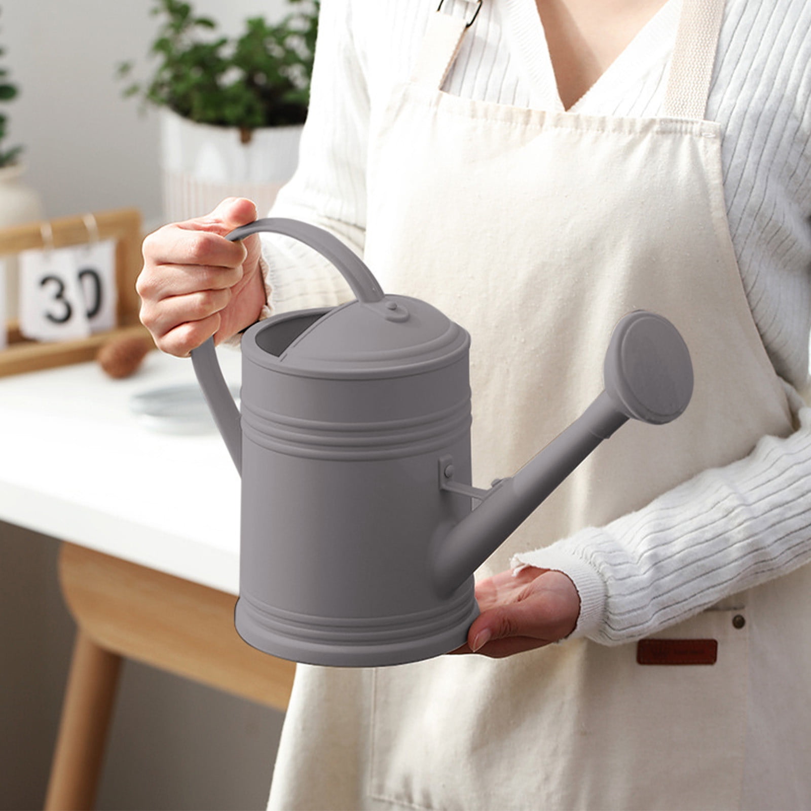 JoyHoop Durable 2L Watering Can with Long Spout, Lightweight Plastic for Indoor Plants and Gardening, Gray