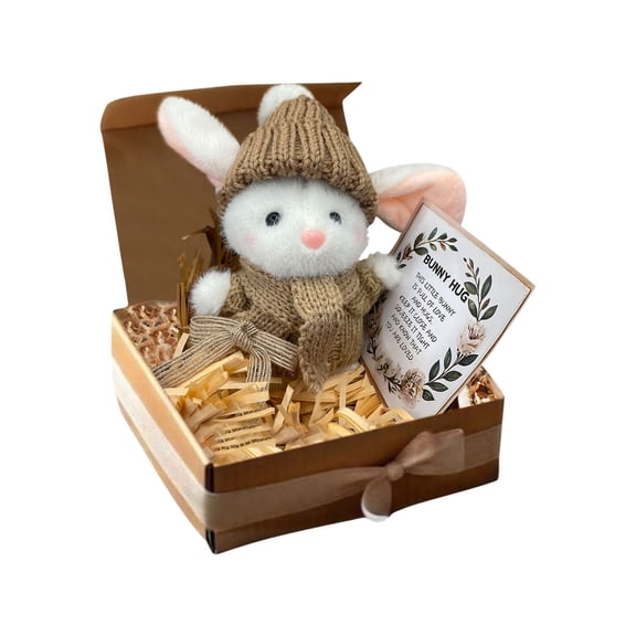 HuiXinOu Mini Bunny Hug Gift, LED Light Up Crochet Animal with Positive Message, Easter Spring Inspirational Present for Family Friends Kids Room Decor