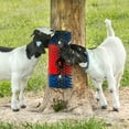 thumbnail image 3 of Premier Scratch Brush for Livestock (XL Brush), 3 of 7