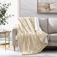 thumbnail image 2 of Modern Threads Knit Reversible Natural Acrylic Throw Blanket, 50" x 60", 2 of 4