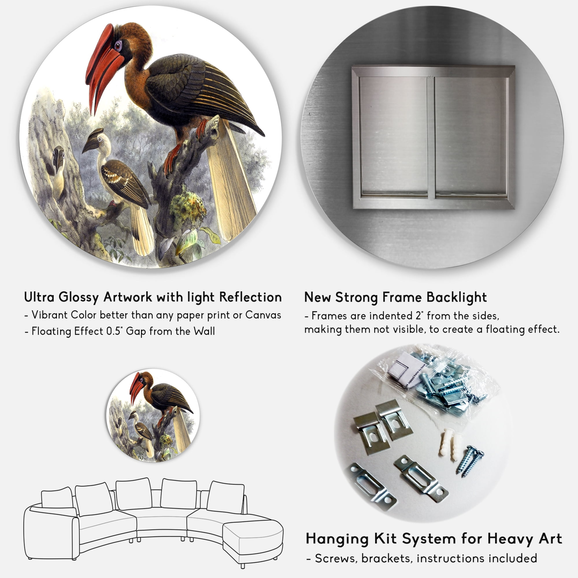 Designart 'Ancient Australian Birds XI' Traditional Circle Metal Wall Art 11x11 - Disc of 11