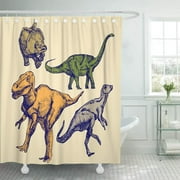 KSADK Animal of Dinosaurs in The Style Sketch Baby Beast Character Childish Collection Shower Curtain Bath Curtain 66x72 inch