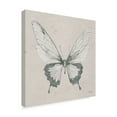 thumbnail image 2 of Trademark Fine Art 'Soft Summer Sketches V' Canvas Art by James Wiens, 2 of 4