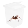 thumbnail image 3 of Caja de Alimentación de Caja de Cría Recipiente para Incubar Arañas Terrario de - tal se describe, METRO Yinane Reptil Terrarium Vivarium, 3 of 8