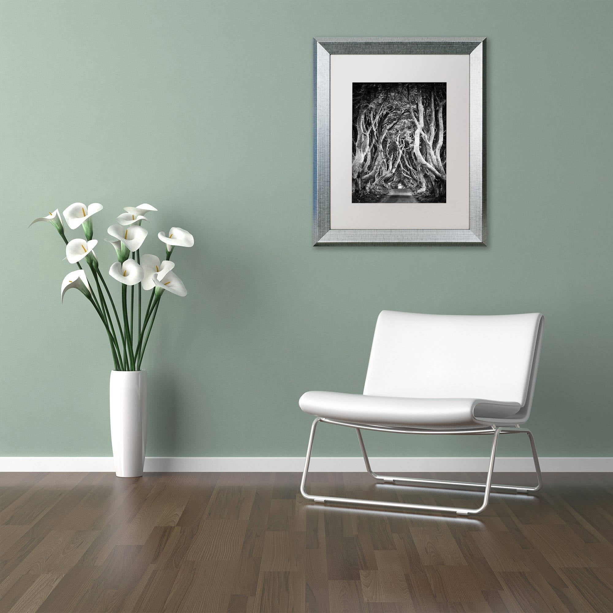 Trademark Fine Art "Zig Zag Nation" Canvas Art by Philippe Sainte-Laudy, White Matte, Silver Frame