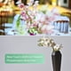 thumbnail image 5 of Uxcell 3-Pack Flores de Orquídea Artificial 9 Pétalos Grandes 37 Pulgadas Ramo de Seda Faux Phalaenopsis Orquídeas Falsas para el Hogar/Boda, 5 of 6