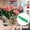 A, variant on Pipe Cleaner Flower Kit,100PC,Pipe Cleaners Craft Chenille Stems,Beginner Friendly Pipe Cleaners Craft Pom Poms Portable Limpia Pipas for DIY Art Creative Festival Day Decorations