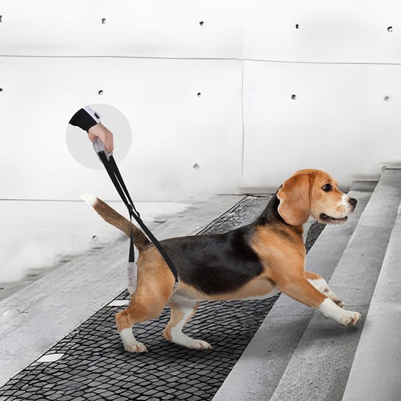 Eslinga Para Perros, 2 Piezas Arnés De Soporte Para Perros Silla De Ruedas Para Patas Traseras Arnés De Elevación Para Perros Patas Traseras Para Perros Eslinga De Elevación
